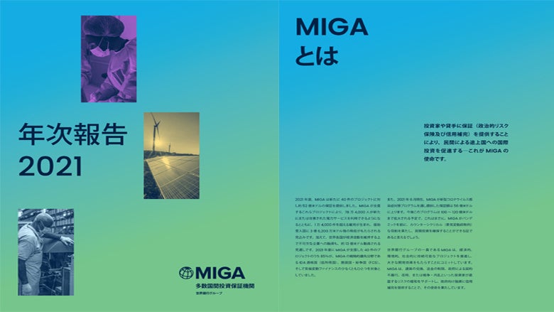 Annual Report 2021