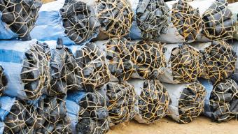 charcoal bundles