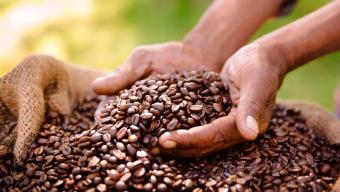 coffee beans