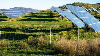 green field solar panels