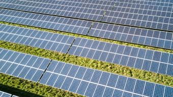 rows of solar panels