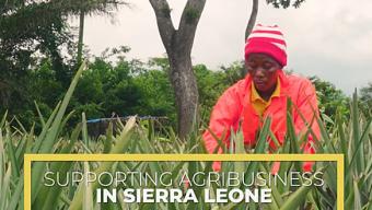 Photo-Video Sierra Tropical