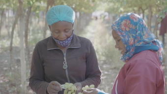 female farmers working in Namibia