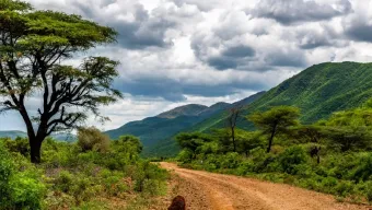kenya roads