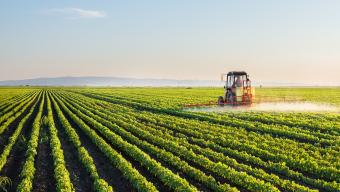 Agriculture