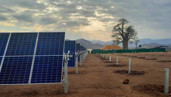 solar construction site with a boabab tree
