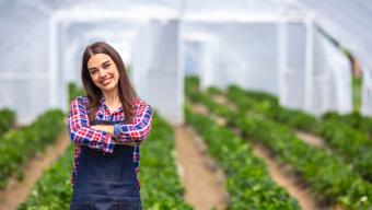 Female Farm Worker In Greenhouse. Small Business.